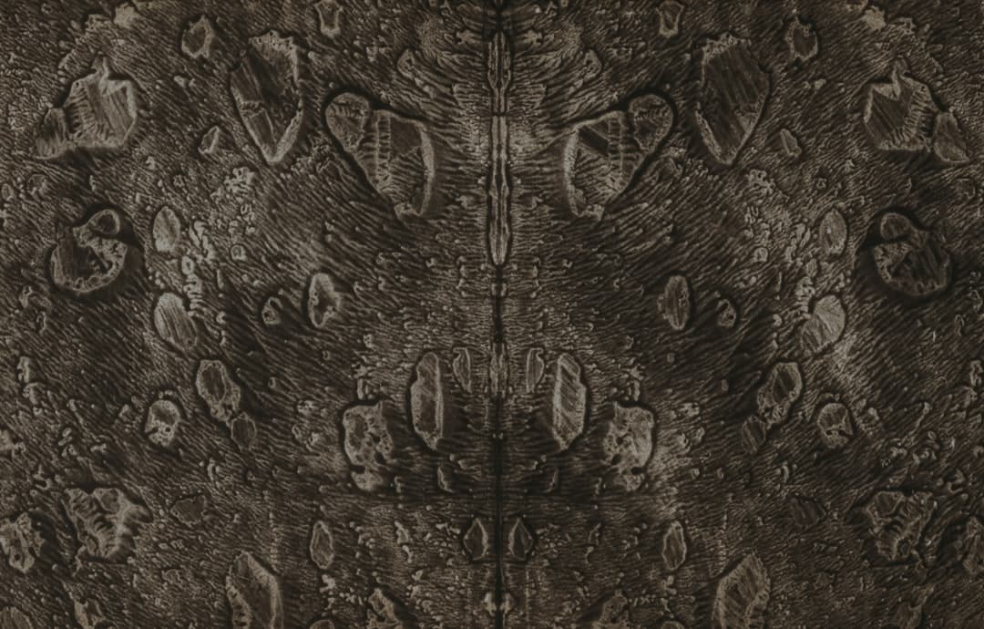 Biopunk Gothic visual inspiration with exposed circuitry