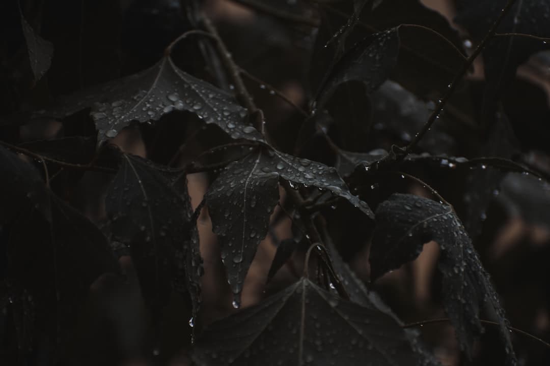Biopunk Gothic aesthetic idea with rough stone (5)
