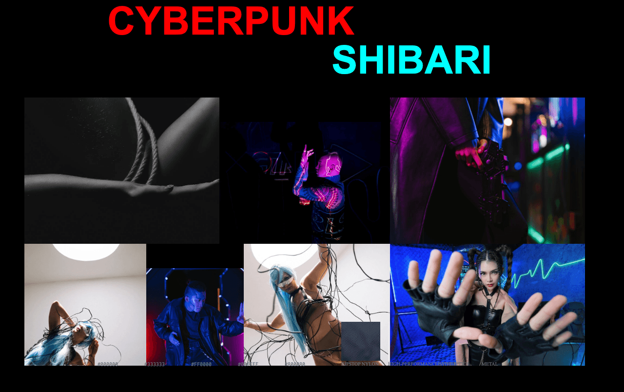 Complete Cyberpunk Shibari moodboard layout with reference images and color palette