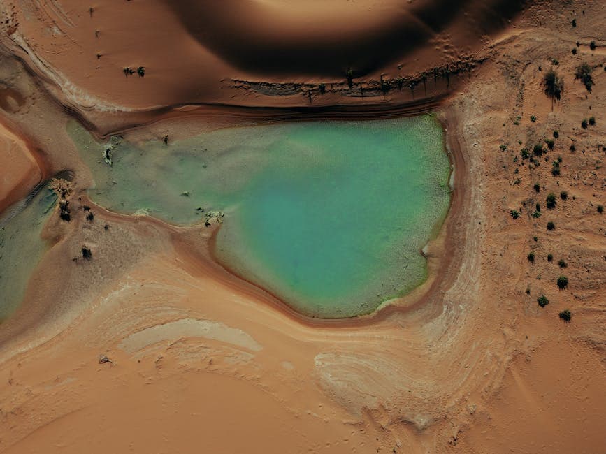 Desert Cyberpunk Oasis aesthetic example featuring glass