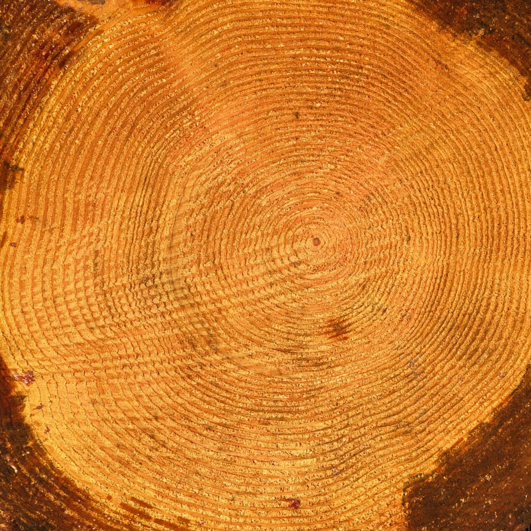 Earthy Cyberpunk moodboard image showing wood (10)