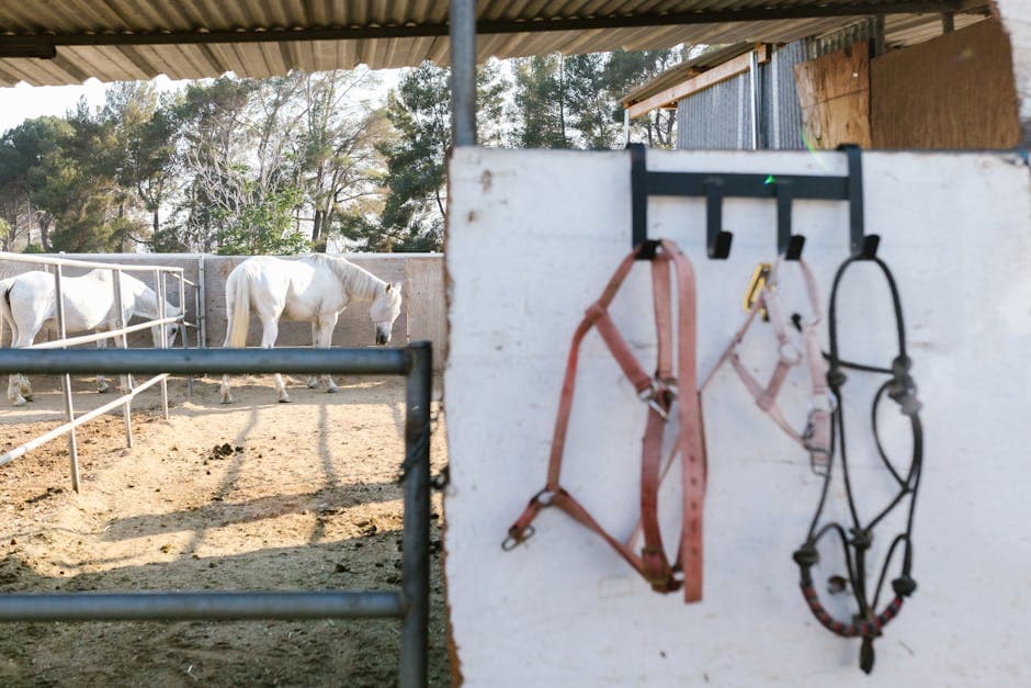 Equine Deco Ranch moodboard image showing polished wood