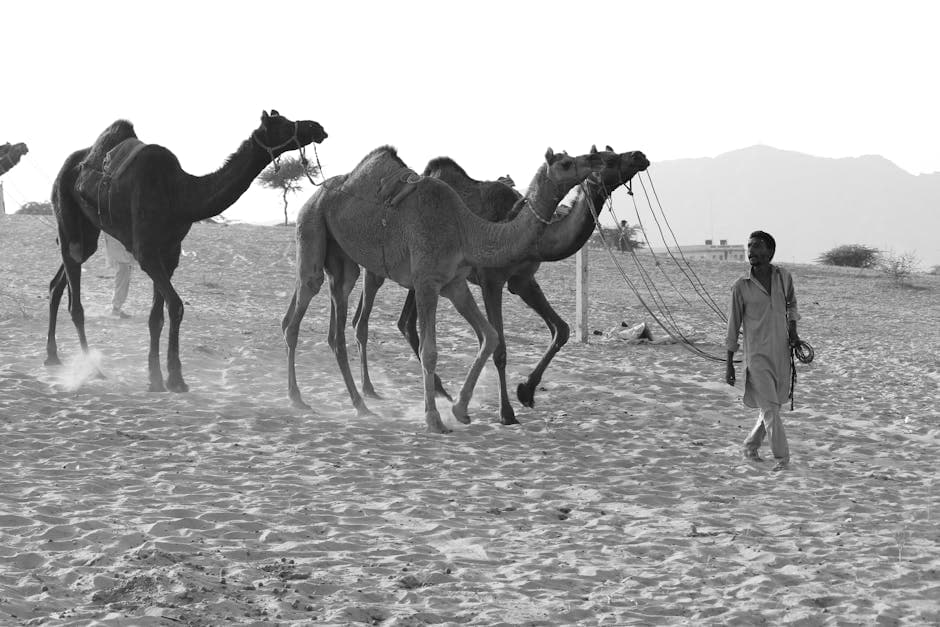 Dieselpunk Desert Nomad visual inspiration with denim