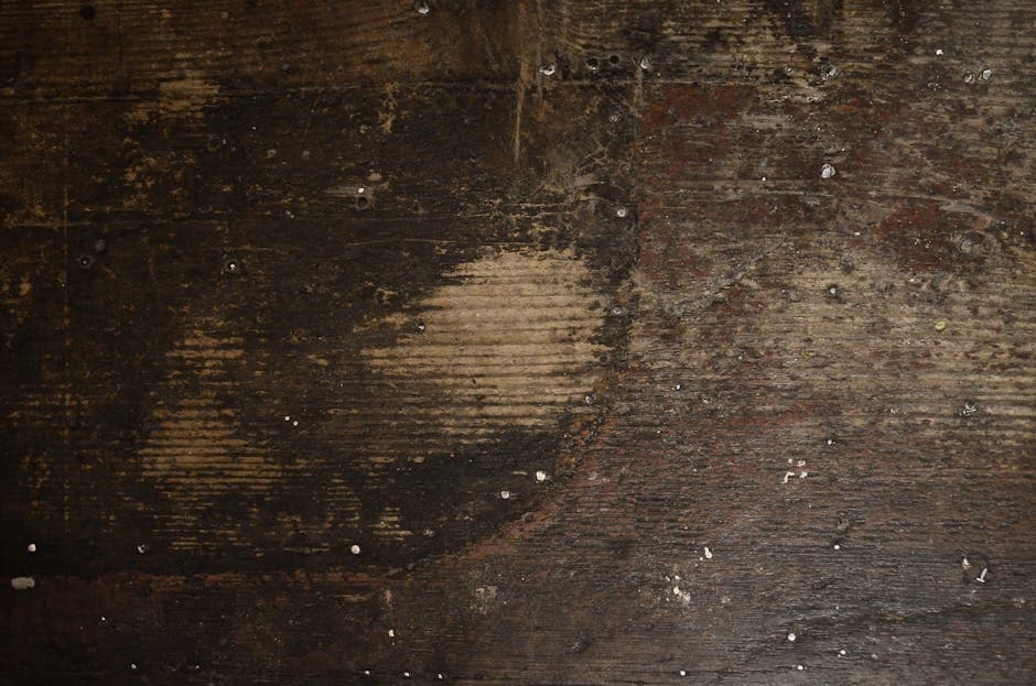 Romantic Grunge moodboard image showing velvet