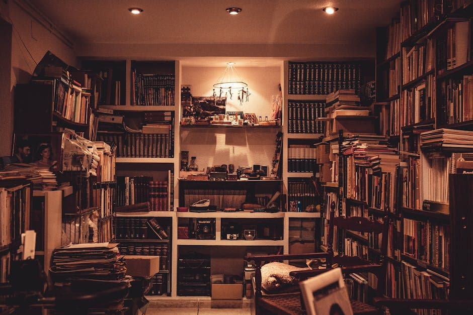 Haunted Library Aesthetic visual inspiration with dusty velvet
