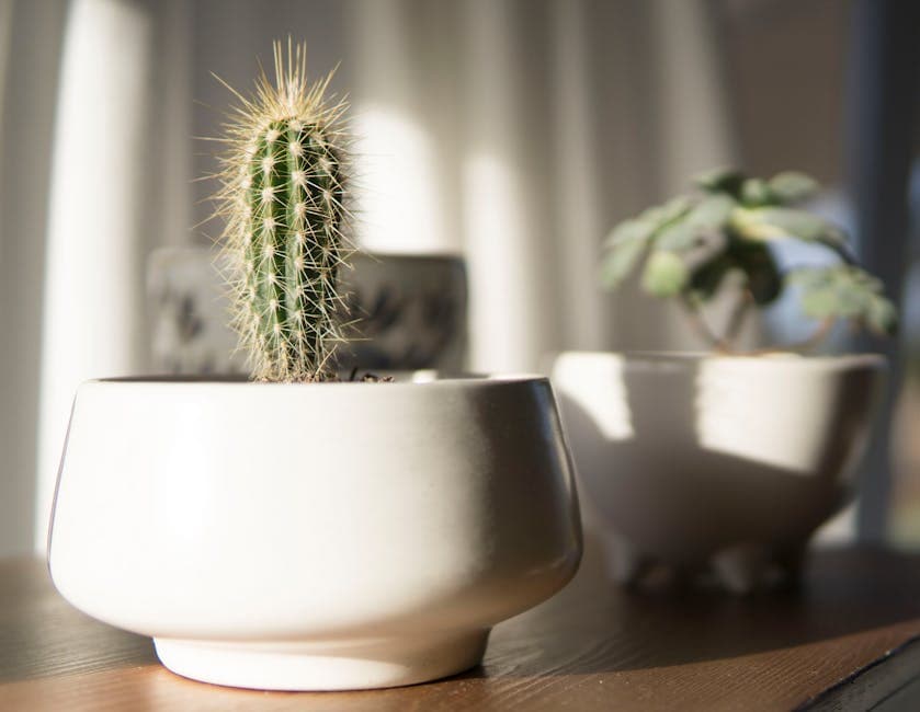 Sun-Drenched Cycladic Minimalism moodboard image showing linen