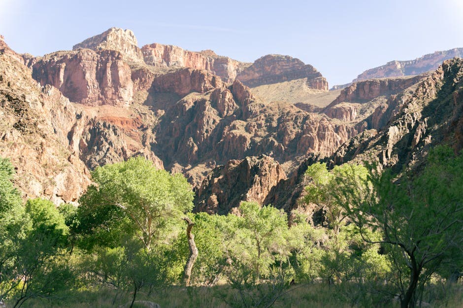 Sunstone Canyon Design aesthetic example featuring leather