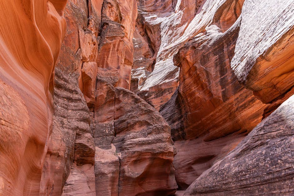 Sunstone Canyon Design moodboard image showing wood